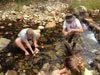 Survival Training